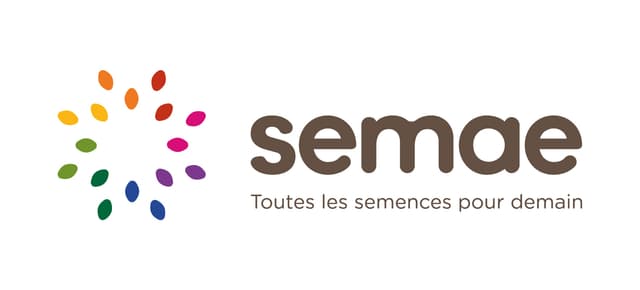 SEMAE